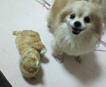200704032003000.jpg
