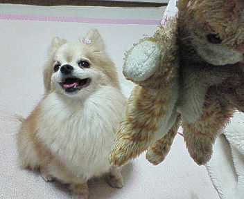 200704112124000.jpg