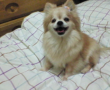 200704142046000.jpg