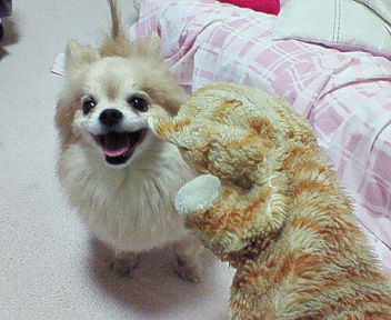 200705242134000.jpg