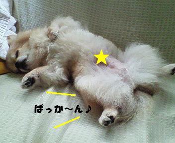200707151531000.jpg