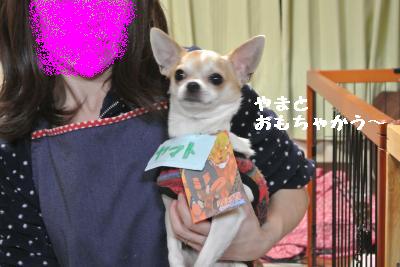 20120103+008_convert_20130103145145.jpg