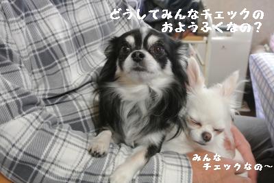 20120103+009_convert_20130104160630.jpg