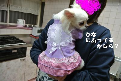 20120103+028_convert_20130103145412.jpg