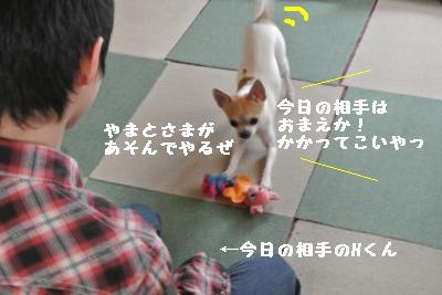 20120103+031_convert_20130104160038.jpg