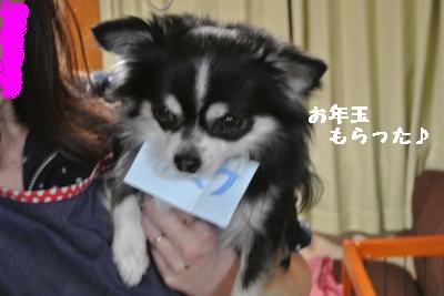 20120103+032_convert_20130103144831.jpg