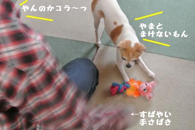 20120103+034_convert_20130104160201.jpg