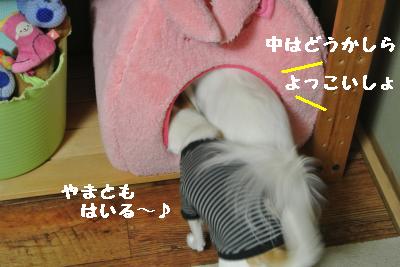 20120103+035_convert_20130103150132.jpg