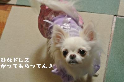 20120103+036_convert_20130103145301.jpg