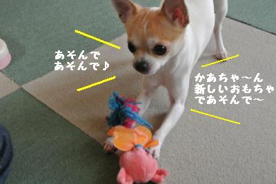 20120103+041_convert_20130104155859.jpg