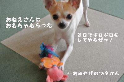 20120103+042_convert_20130104155737.jpg