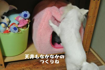 20120103+044_convert_20130103145531.jpg