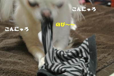 20120105+035_convert_20130106103716.jpg