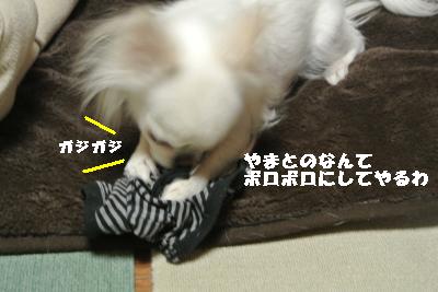 20120105+040_convert_20130106103518.jpg