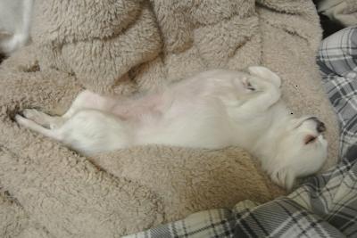 20120105+042_convert_20130105224228.jpg