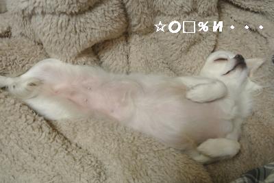 20120105+043_convert_20130105224420.jpg