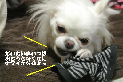 20120105+044_convert_20130106103618.jpg