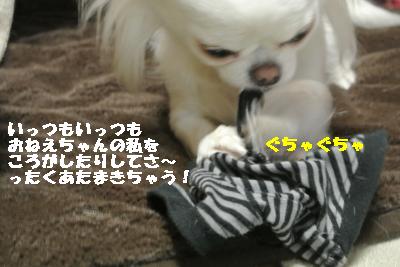 20120105+045_convert_20130106103818.jpg