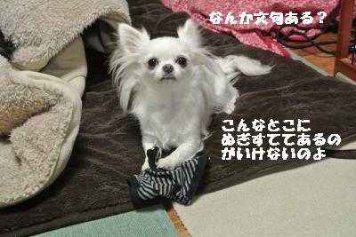 20120105+046_convert_20130106104024.jpg