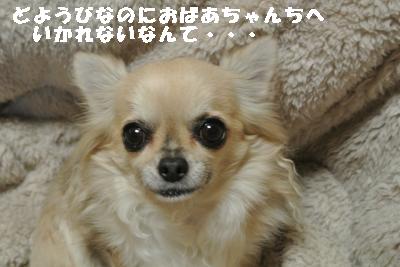 20120112+003_convert_20130112084644.jpg