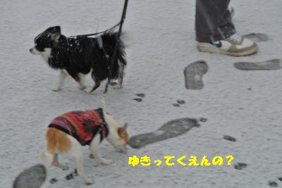 20120114+005_convert_20130114122016.jpg