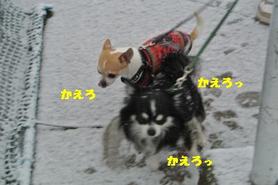 20120114+008_convert_20130114122125.jpg