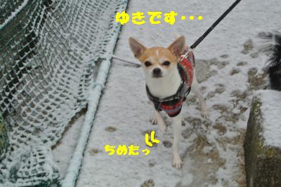 20120114+010_convert_20130114121900.jpg