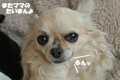 20120312+005_convert_20130315165116.jpg