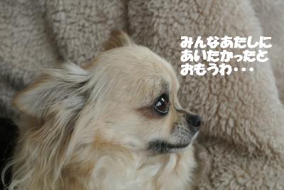 20120312+007_convert_20130315165140.jpg