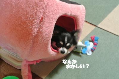 20120314+001_convert_20130314110443.jpg