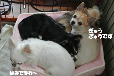 20120314+005_convert_20130314110919.jpg