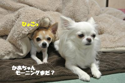 20120314+009_convert_20130315104254.jpg