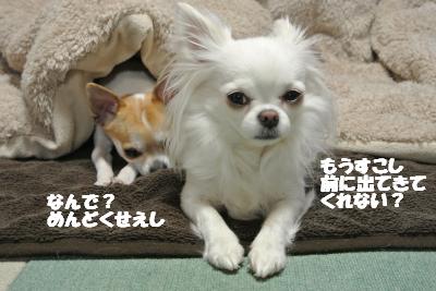20120314+011_convert_20130315104402.jpg