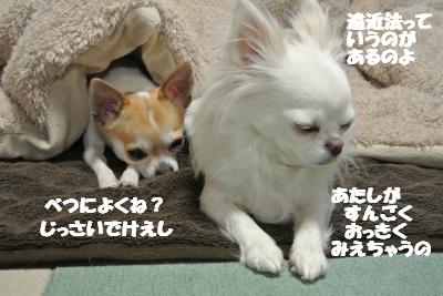 20120314+012_convert_20130315104429.jpg