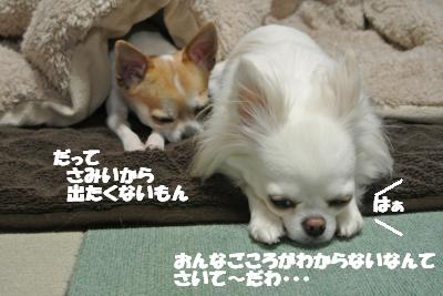 20120314+013_convert_20130315104454.jpg