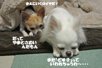 20120314+014_convert_20130315104523.jpg