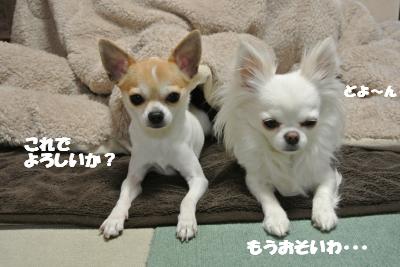 20120314+016_convert_20130315104555.jpg