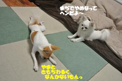20120314+017_convert_20130319142935.jpg