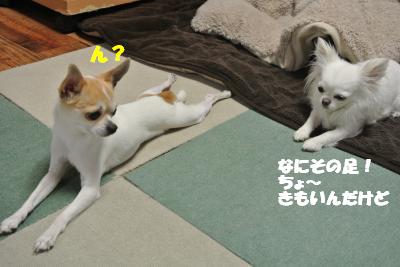 20120314+021_convert_20130319143029.jpg