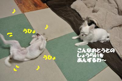 20120314+022_convert_20130319143443.jpg