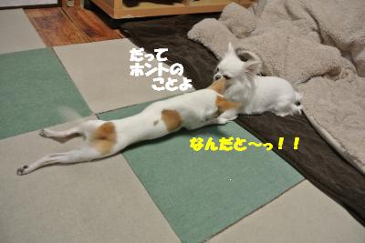 20120314+025_convert_20130319143059.jpg