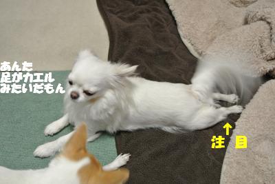 20120314+027_convert_20130319143206.jpg
