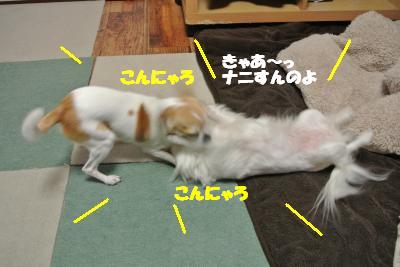 20120314+031_convert_20130319143409.jpg
