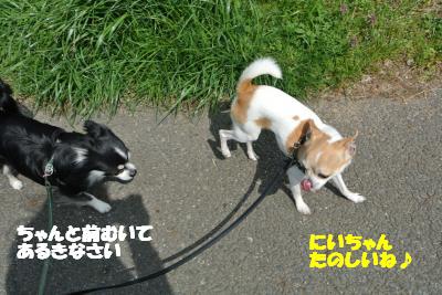 20120329+017_convert_20130329102000.jpg