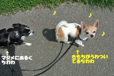 20120329+019_convert_20130329102033.jpg