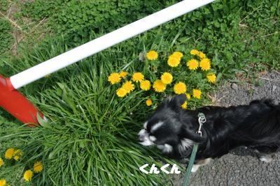20120329+020_convert_20130329102112.jpg