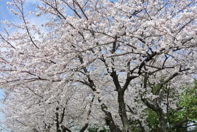 20120329+023_convert_20130329101627.jpg
