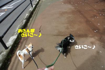 20120329+024_convert_20130329102220.jpg