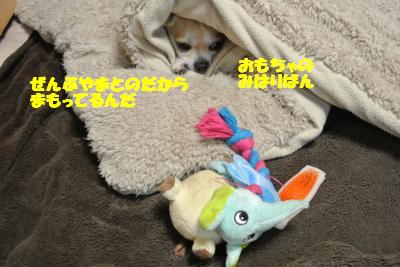 20120329+027_convert_20130329102256.jpg