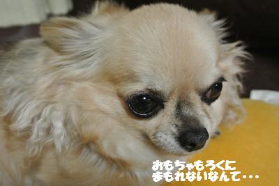 20120329+030_convert_20130329130952.jpg